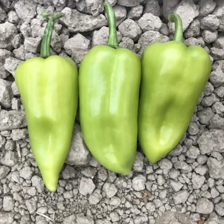 ЦРХ 69110 F1 / CRX 69110 F1 фото 1