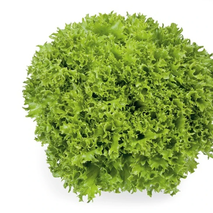 Экспедишн / Expidition фото 1