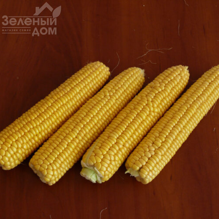 Рання Насолода F1 / Rannee Naslazhdenie F1,68 днів фото 4