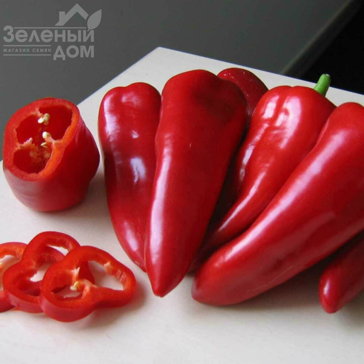 Самандер F1 / Samander F1,55-65 днів фото 1