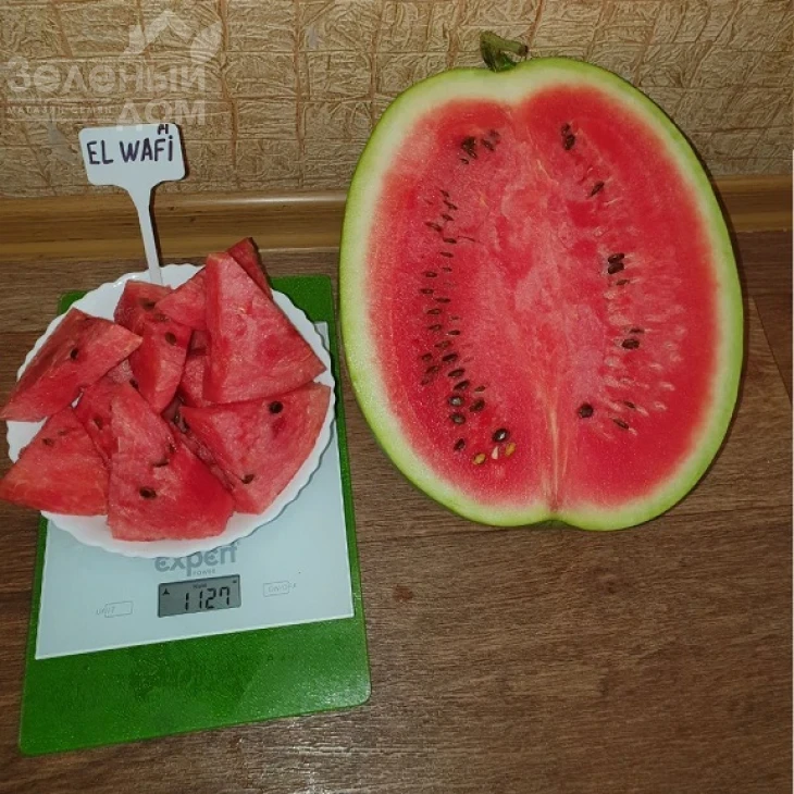 Эль Вафи F1 / El Wafi F1, 65-70 дней фото 2