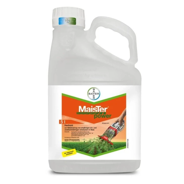 МайсТер Пауэр / MaisTer Power фото 1