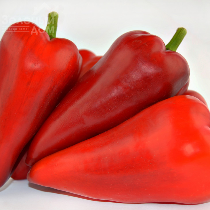 Амулет F1 / Amulet F1,50-60 днів фото 1