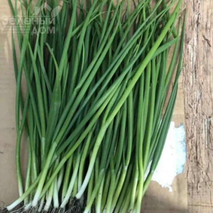 Гринпик F1 / Grinpik F1 фото 1