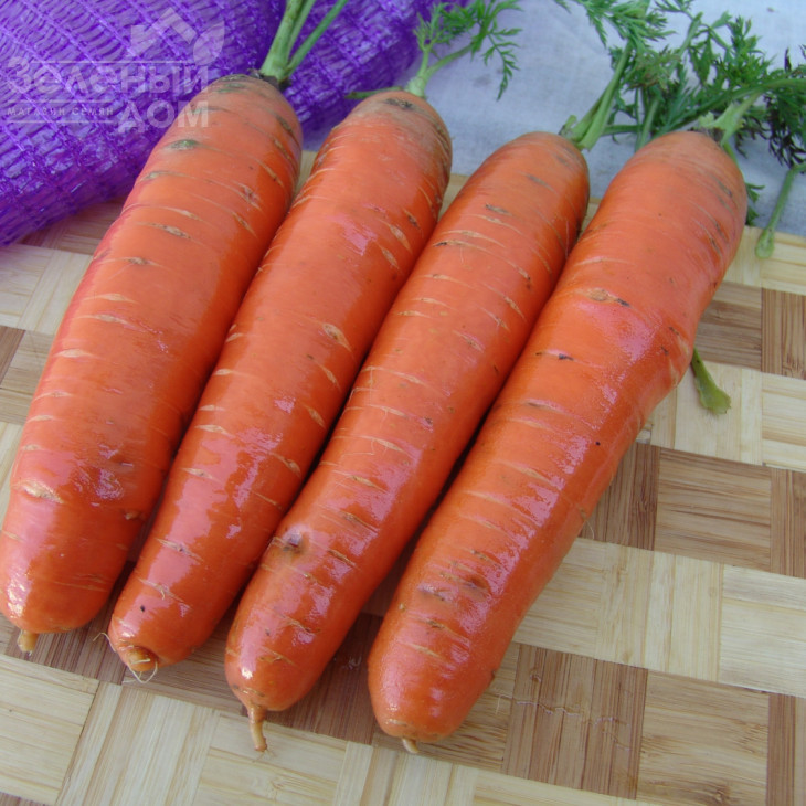 Фаворит / Favorit,140-150 днів фото 1