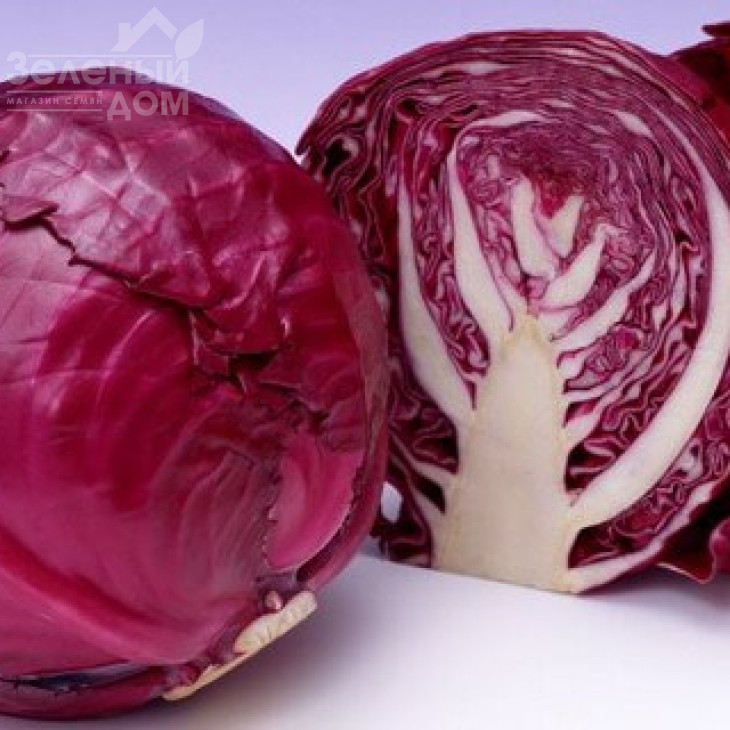 Редма F1 / Redma F1,80 днів фото 2