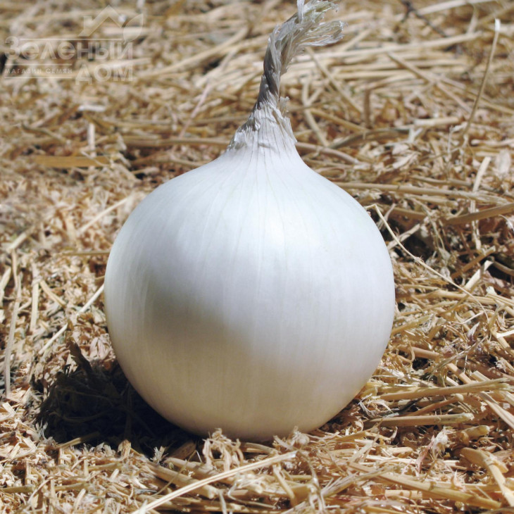 Айсперл F1 / Iceperl F1,100 днів фото 1