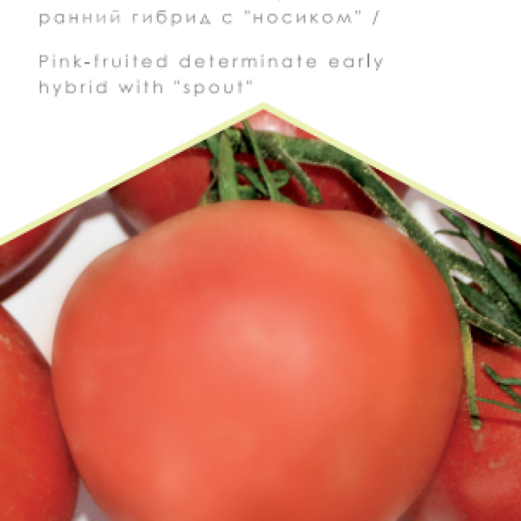 Пальміра F1 / Palmira F1, 90-93 дні фото 1