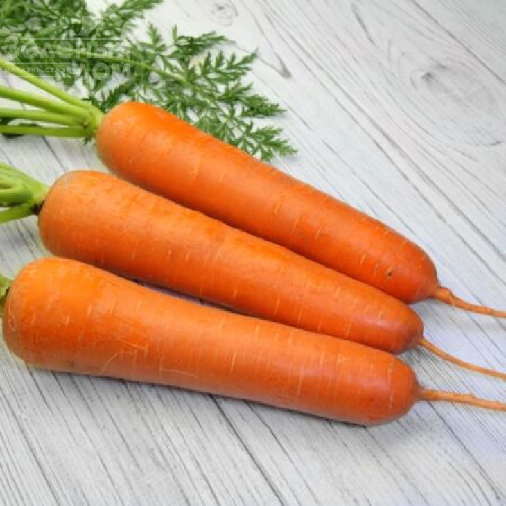 Тітан F1 / Titan F1,90 днів фото 1