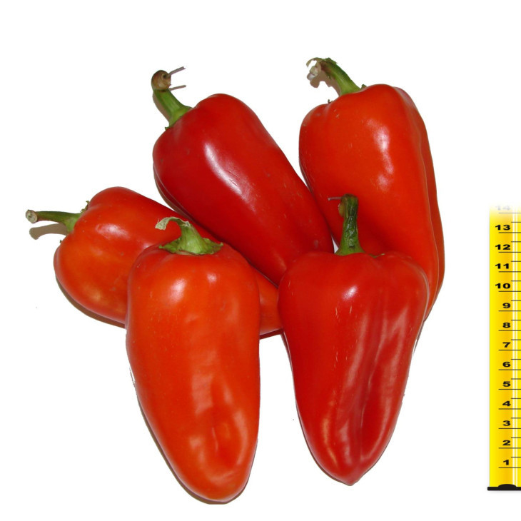 Кірілл F1/ Kirill F1 фото 3