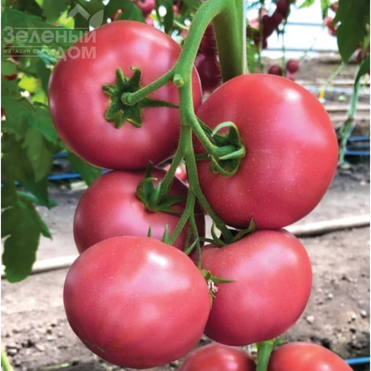 КС 307 F1 / KS 307 F1 фото 1