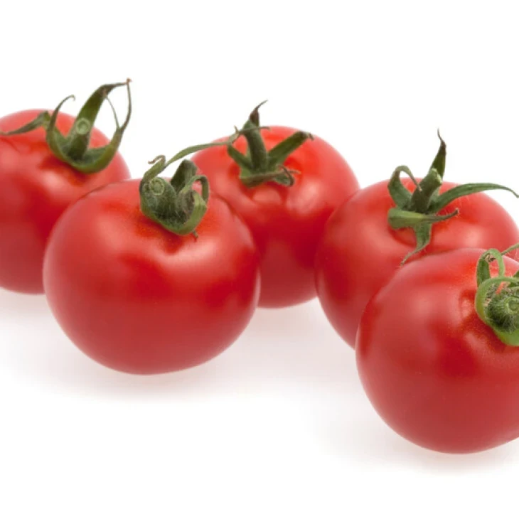 Сассари F1 / Sassari F1 фото 1