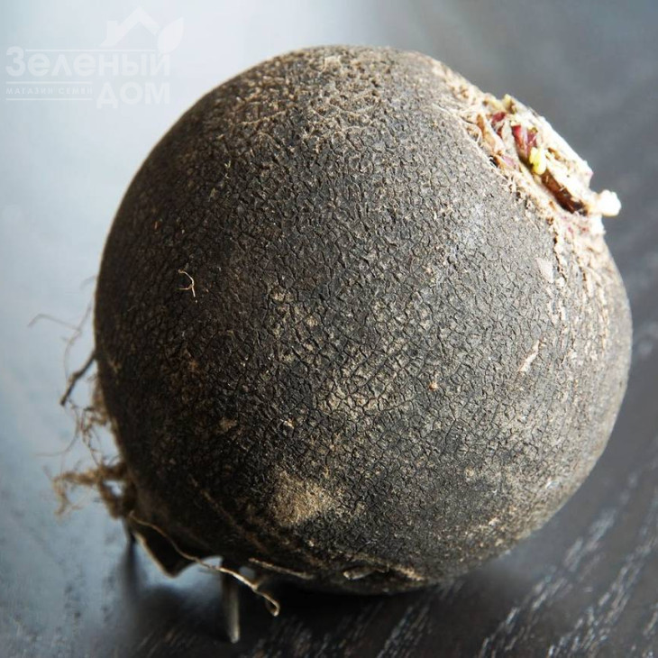 Чорна кулата / Kulata,90 днів фото 1