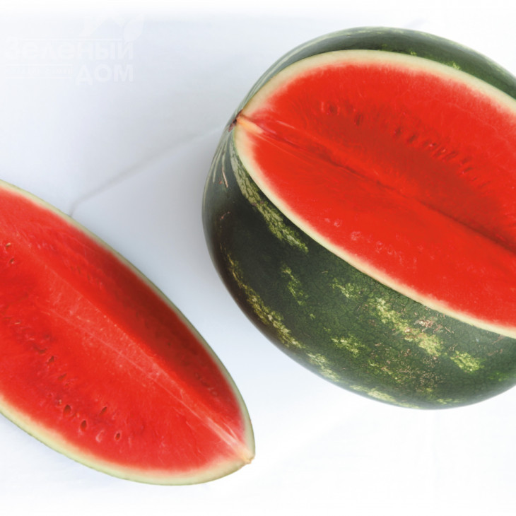 Фасінейшн F1 / Fasineyshn F1,62-64 днів фото 1