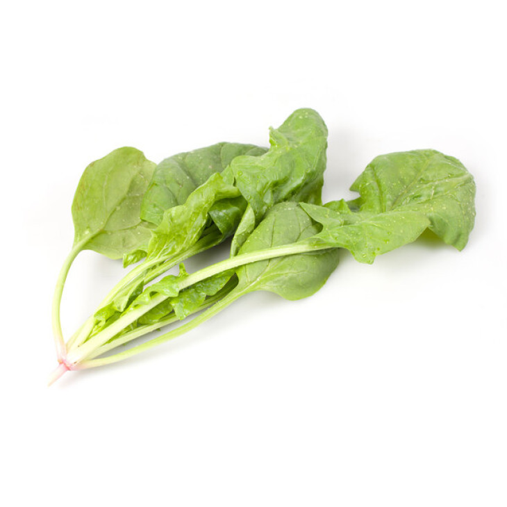 Пума F1 / Puma F1 фото 3