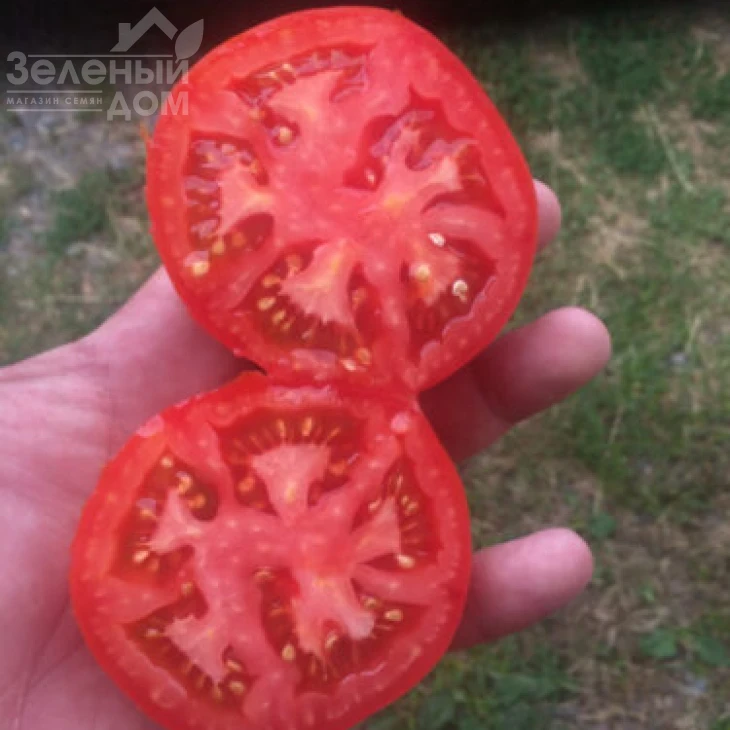 Песадо F1 / Pesado F1,100 дней фото 4