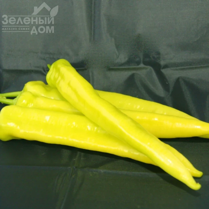 Хотстар F1 / Hotstar F1 фото 1