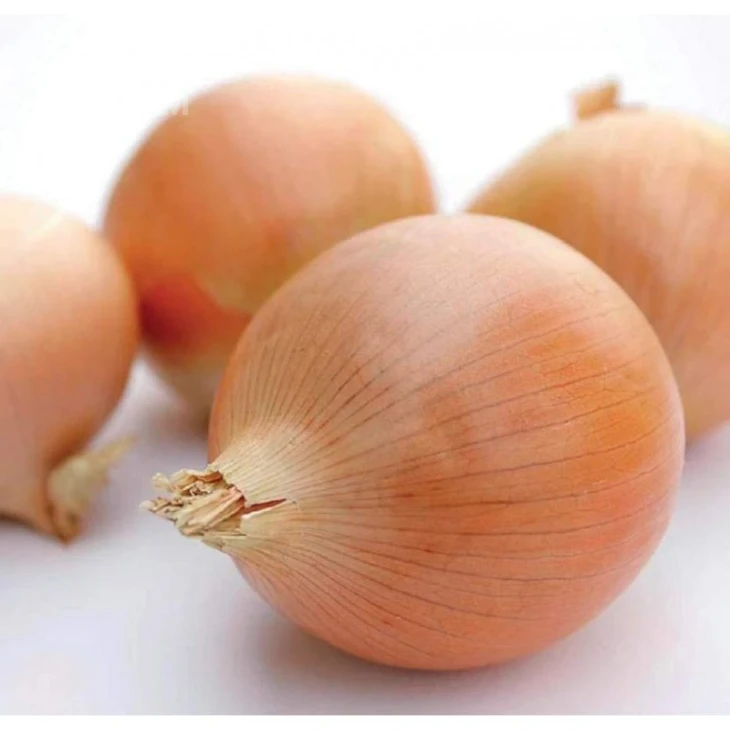 Ибис F1 / Ibis F1 фото 1