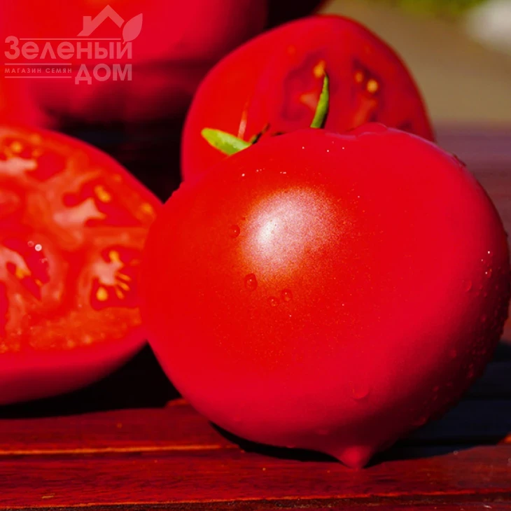 Каста F1 / Kasta F1,55-60 дней фото 4