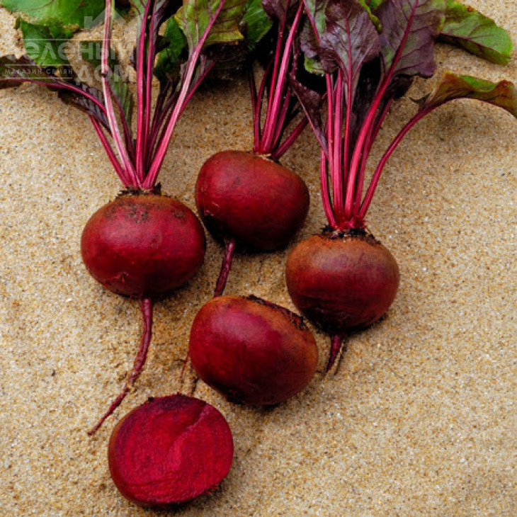 Камаро F1 / Kamaro F1,105-110 днів фото 1