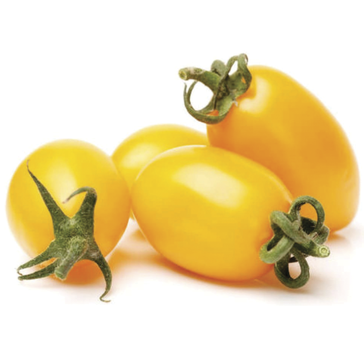 Флоренс F1 / Florence F1, 95-105 днів фото 1