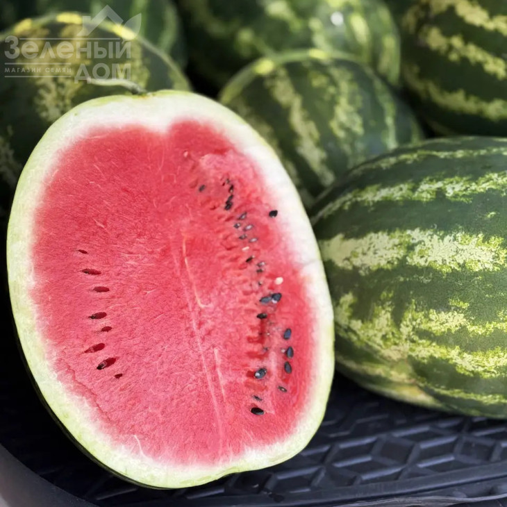 Атакан F1 / Atakan F1  фото 1