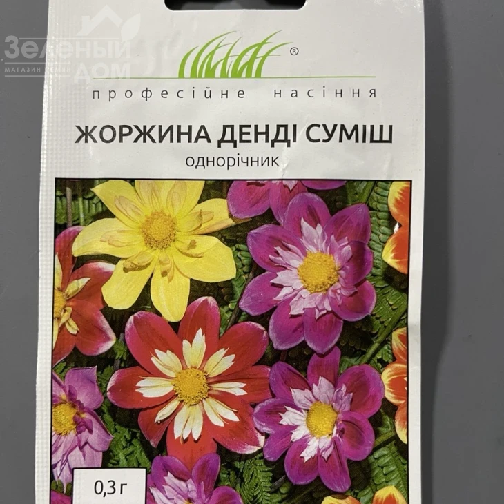 Георгина Денди (смесь) фото 1