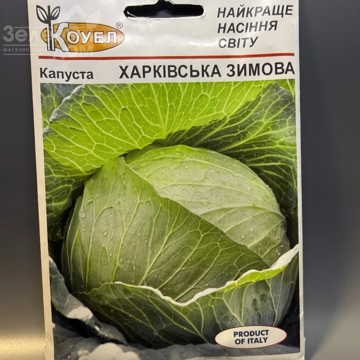 Харьковская зимняя / Kharkovskaya zimnyaya фото 2