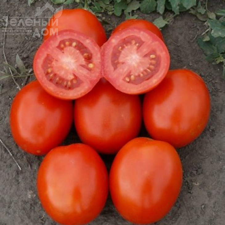 1807 F1 / 1807 F1,110 днів фото 1