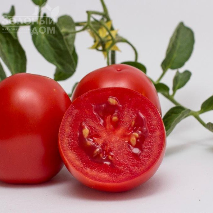 Чезена F1 / Chezena F1, 85-95 днів фото 5