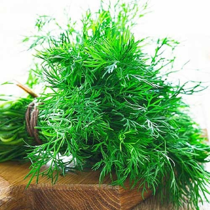 Тетра / Tetra  фото 1