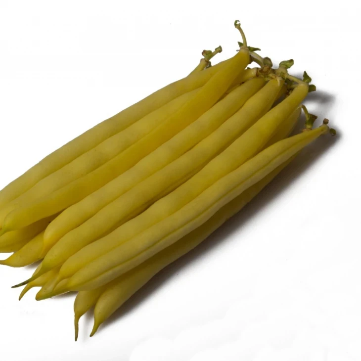 Голден Гол F1 / Golden Gol F1 фото 1