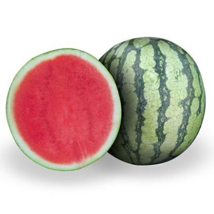 Леопард F1 / Leopard F1 фото 1