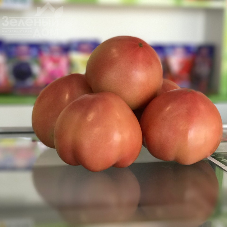 Ризотта F1 / Rizzota F1 фото 2