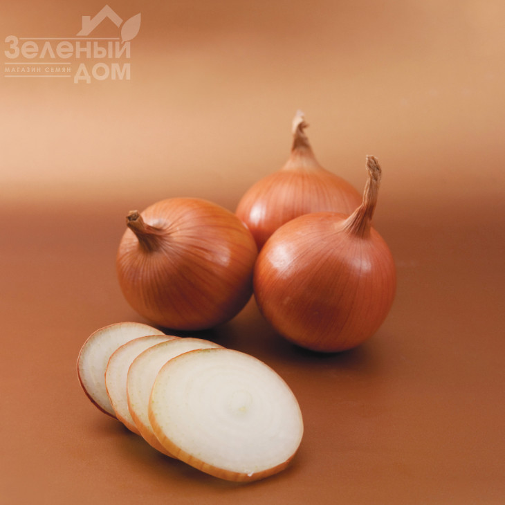 Боско F1 / Bosko F1,120-125 днів фото 2