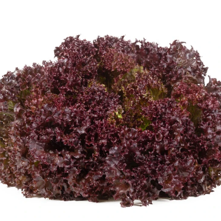 Самантайн / Samantine фото 3