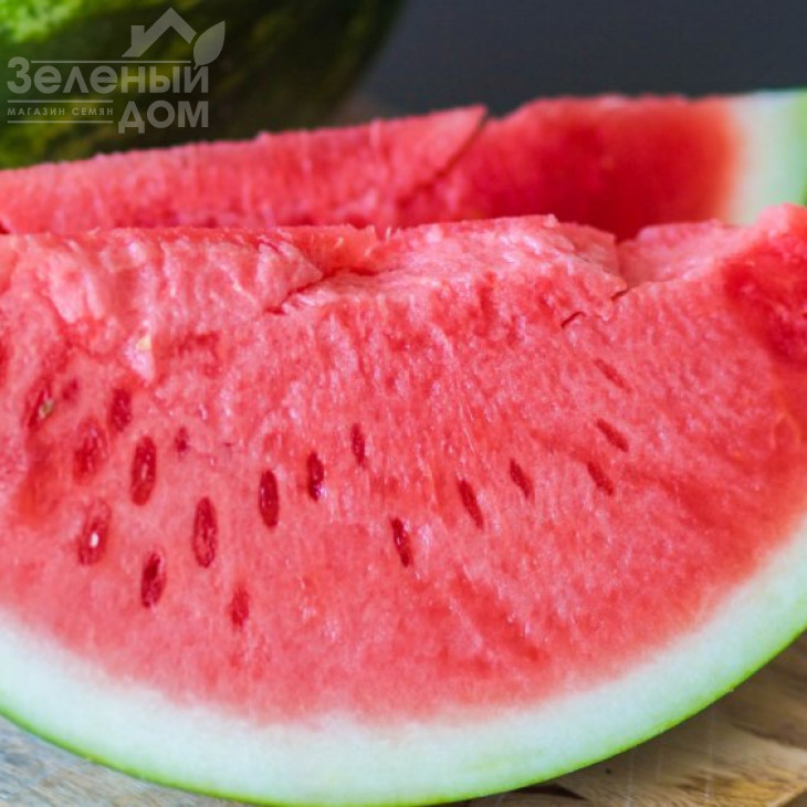 Бостон F1 / Boston F1,62-68 днів фото 2