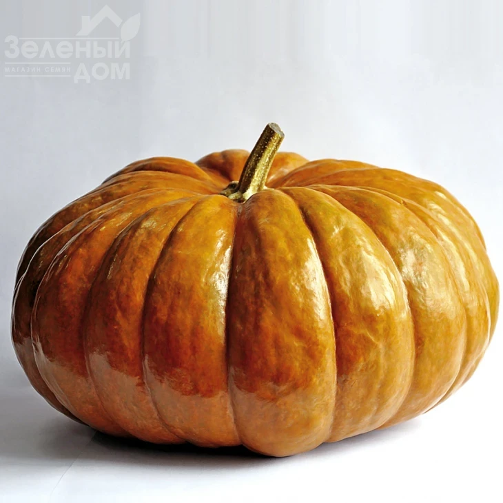 Мерри Дол F1 / Marry Dol F1 фото 1