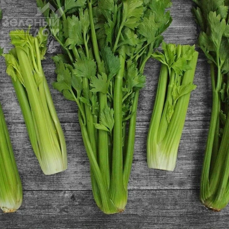 Дарклет F1 / Darklet F1 фото 1