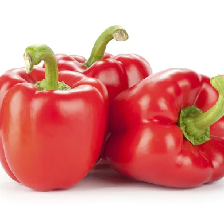 Актор F1 / Aktor F1 фото 1