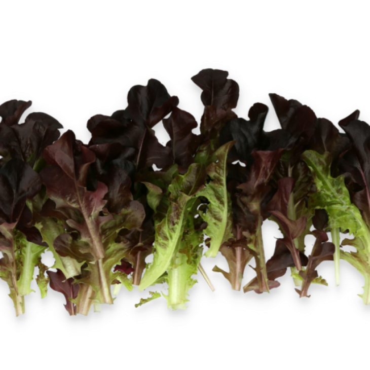 Боттас / Bottas фото 2