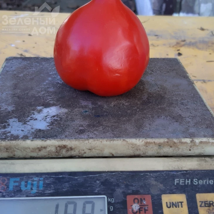 Лангранж F1 / Lagrange F1, 60-63 дня фото 3