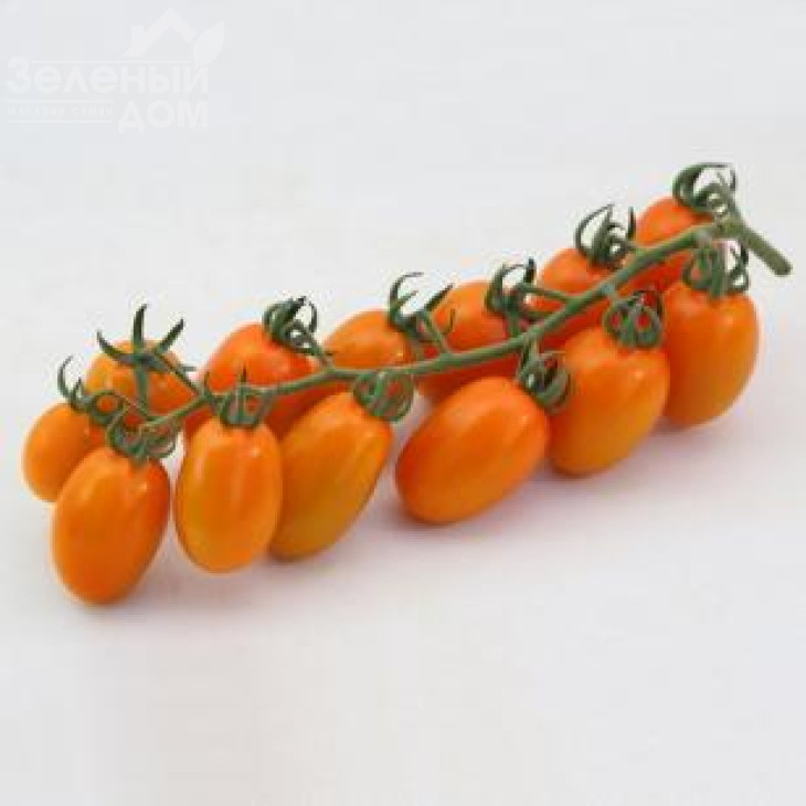 КС 97 F1 / KS 97 F1 фото 1