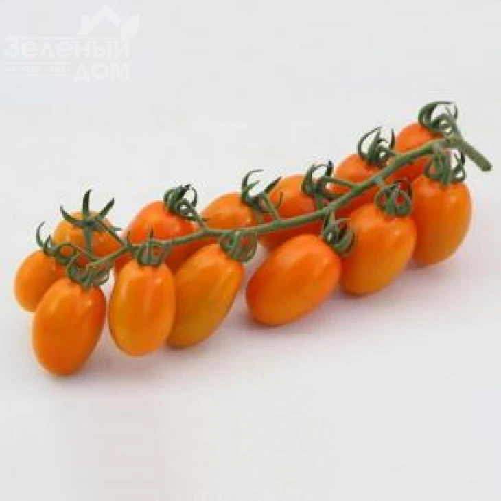 КС 97 F1 / KS 97 F1 фото 1