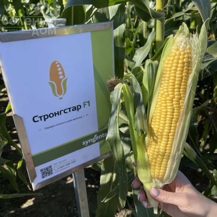 Стронгстар F1 / Strongstar F1 фото 1