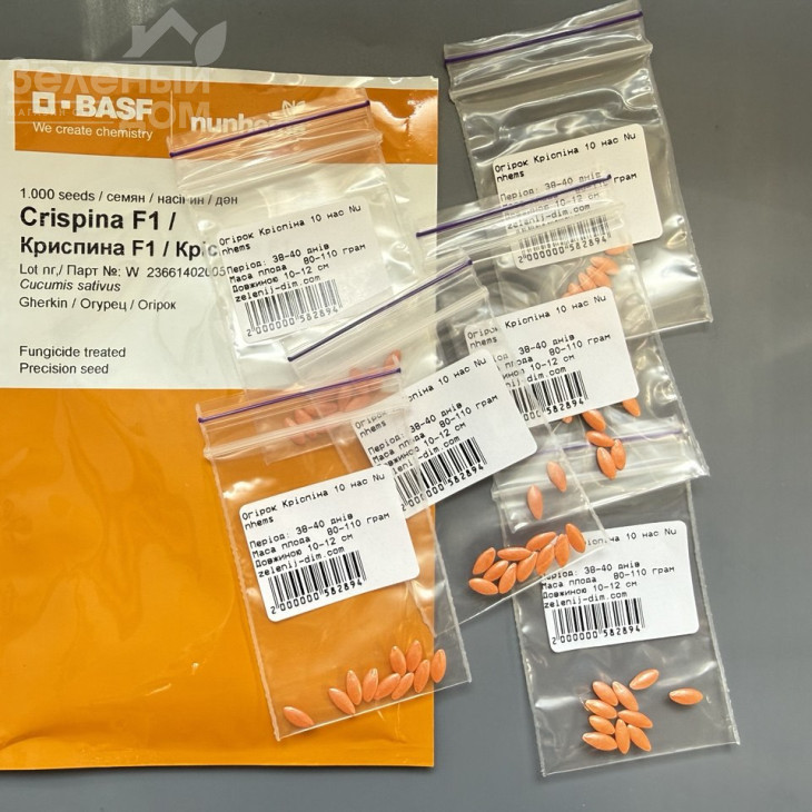 Кріспіна F1 / Crispina F1,38-40 днів фото 4