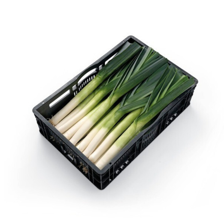 Плустон F1 / Pluston F1, 110-120 днів фото 1