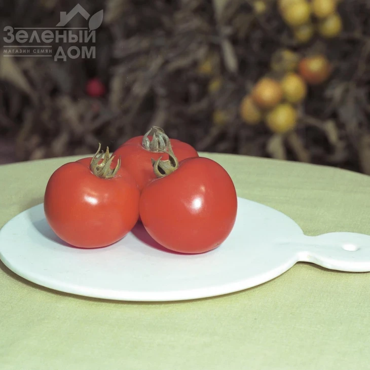 Полфаст  F1 / Polfast F1,54-58 дней фото 1