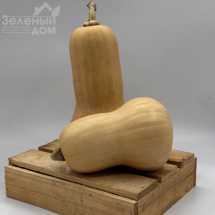 Скарлет F1 / Skarlet F1 фото 3