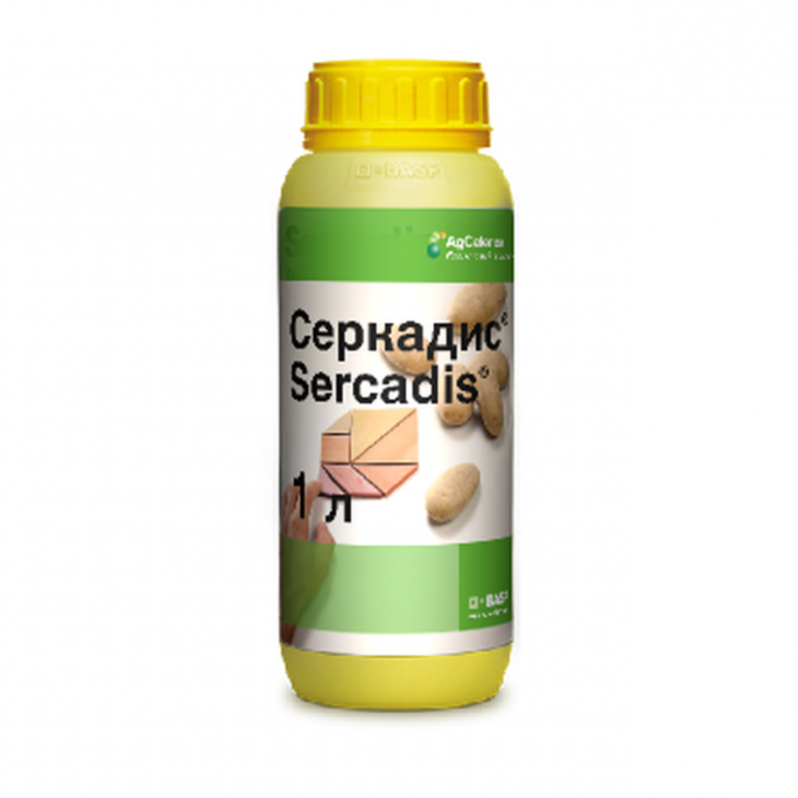Серкадіс / Sercadis, КС фото 1